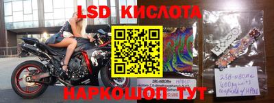 крисы Лесосибирск