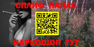 крисы Лесосибирск