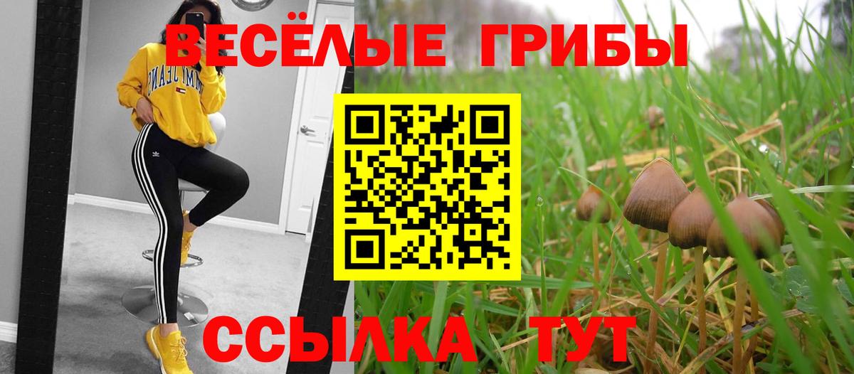 Уварово  Галлюциногенные грибы мухоморы  продажа наркотиков  Вход с VPN 
